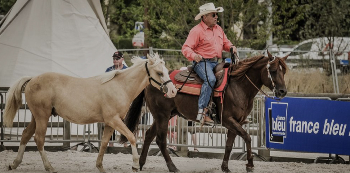 Vente de chevaux