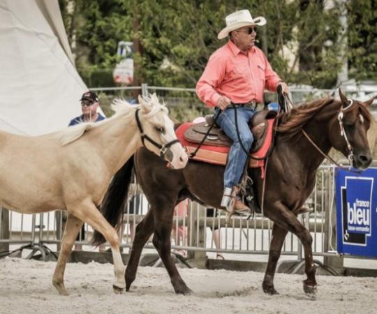 équitation américaine