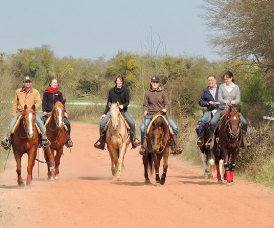 Stage équitation western et séjour western en France et en Amériques -  Caval&go