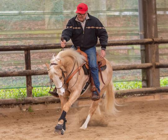 stage équitation