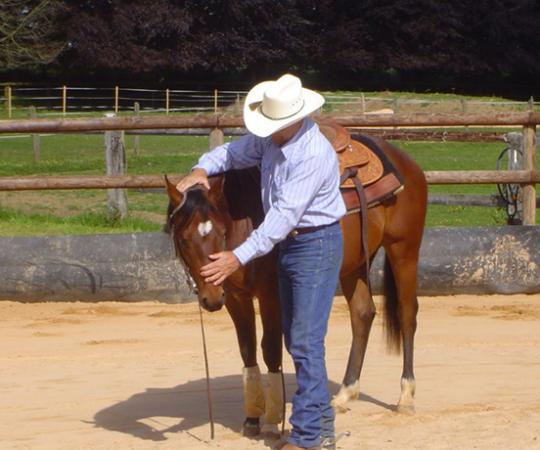 entrainement avec un cheval